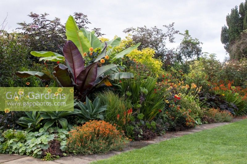 Plantation de style tropical aux couleurs chaudes dans le parterre de fleurs chaleureux du Bourton House Garden, Gloucestershire.