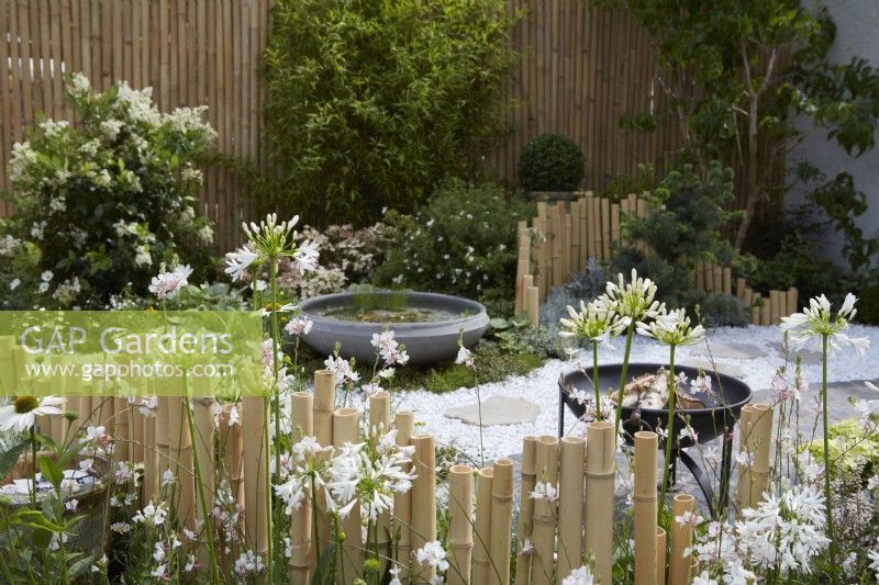 La créatrice du jardin lunaire : Queenie Chan. Clôtures basses en bambou, plan d'eau circulaire et plantation sur le thème blanc, notamment Agapanthus africanus 'Whitney'. Été.