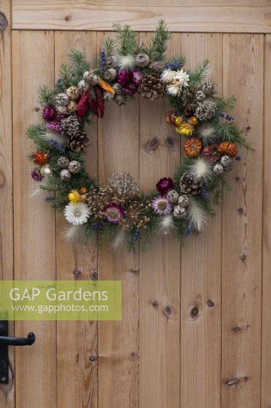 Une couronne de guirlande de jardinier est créée sur une base de saule tissé recouverte de feuillage d'épinette entrecoupé de lavande séchée et de graminées ornementales. Il est ensuite décoré de piments séchés, de citrouilles miniatures, de pommes de pin, d'immortelles et de têtes de graines d'allium, de coquelicots, de nigelle.