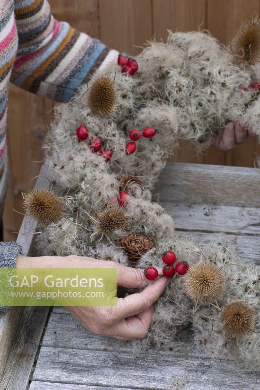 Fabriquer étape par étape une couronne de campagne à partir d'une armature en fil de fer enveloppée dans la barbe d'un vieil homme. Étape 5 : des cynorrhodons filaires sont fixés sous le cadre, et poussés dans la barbe du vieil homme.