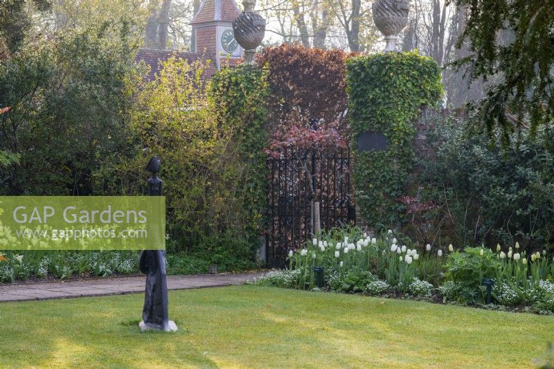 Planté dans le parterre de gauche, Tulipa 'Green Star' et 'Spring Green'. Planté dans le parterre de droite, Tulipa 'Catherina' et 'Hakuun'. La statue sur la pelouse est « Looking Good, Looking Fine » d'Elizabeth Sinclair. Dans le jardin élisabéthain, Pashley Manor.