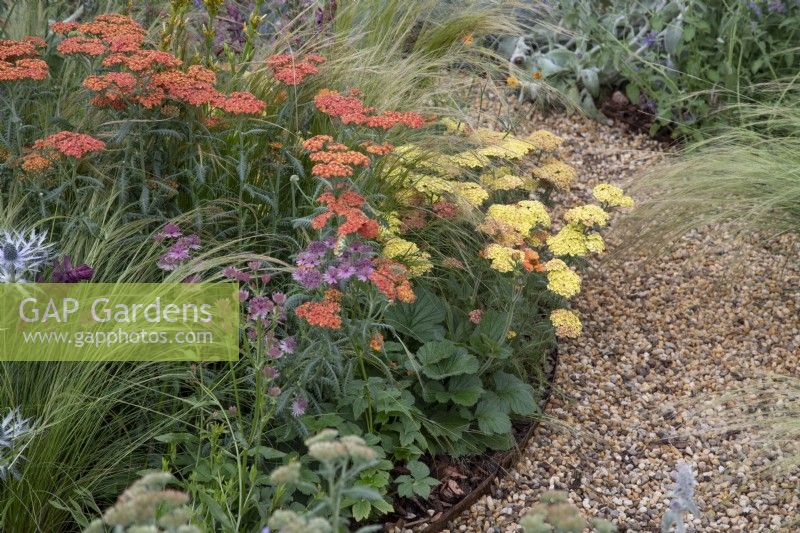 Plantation de plantes vivaces dans le jardin « The Children with Cancer UK Strength of Humanity Garden » au BBC Gardeners World Live 2019, juin
