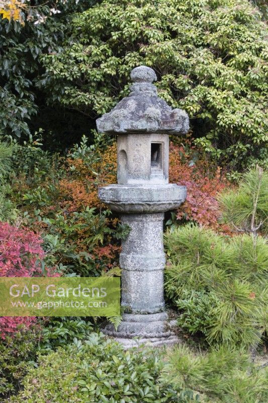 Lanterne en pierre ou Ishidoro avec arbustes environnants