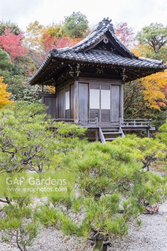 Sanctuaire Jibutsu-do avec pins et acers aux couleurs de l'automne.
