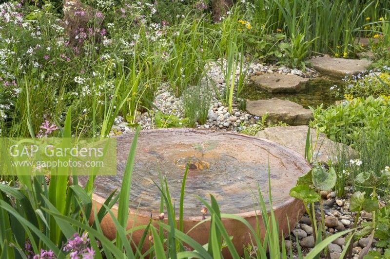 Bol en cuivre métallique avec plan d'eau dans un jardin de fleurs sauvages avec étang et tremplins avec plantation marginale