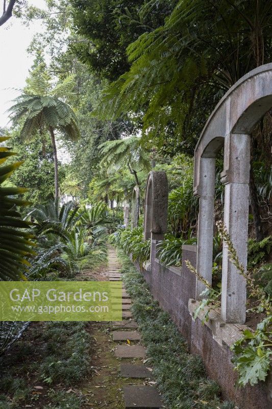 Un chemin en dalles de pierre mène au loin avec des fenêtres cintrées en pierre à côté, au milieu d'une plantation tropicale luxuriante. Jardins du Monte Palace, Madère 
