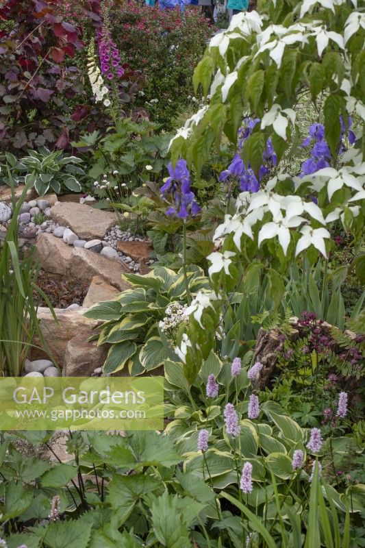 Plantation mixte dans le 'RHS Garden for Wildlife Wild Woven' - RHS Chatsworth Flower Show 2019, juin 