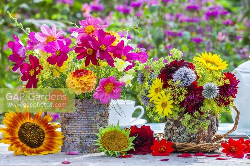 Bouquets de fleurs d'été dans un vase en boîte de conserve et une tasse de thé à l'écorce et à la mousse faites maison. Contenant Cosmos, Dahlia, Echinops, Helianthus et Fenouil. 