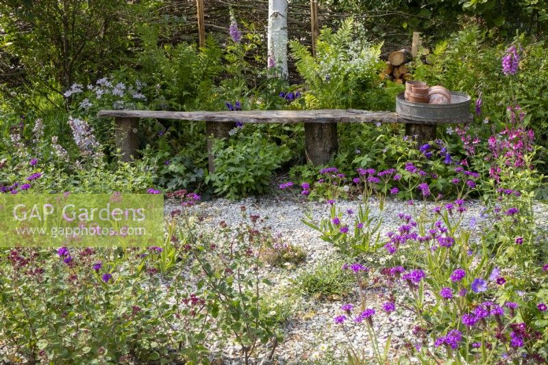 Un banc en bois avec un tamis et des pots de plantes en terre cuite entourés de plantations naturalistes vivaces mixtes colorées, Verbena rigida 