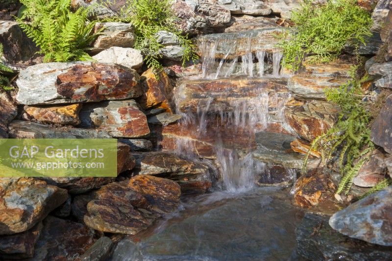 Un ruisseau tombant en cascade sur des rochers en pierre dans un étang avec Drypoteris poussant sur les bords 