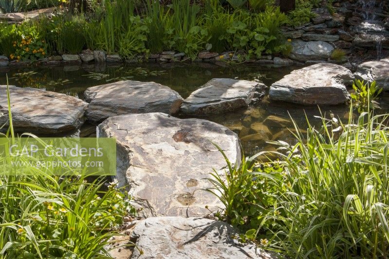 Gros rochers de pierre comme tremplins au-dessus d'un étang - Phalaris arundinacea au premier plan 
