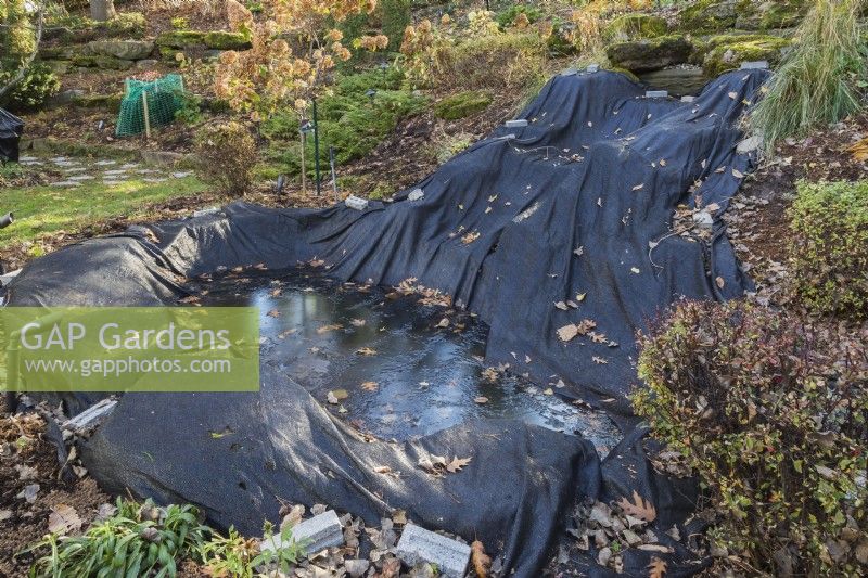 Étang protégé contre la chute des feuilles et les conditions hivernales avec une bâche noire dans le jardin en automne, Québec, Canada. 