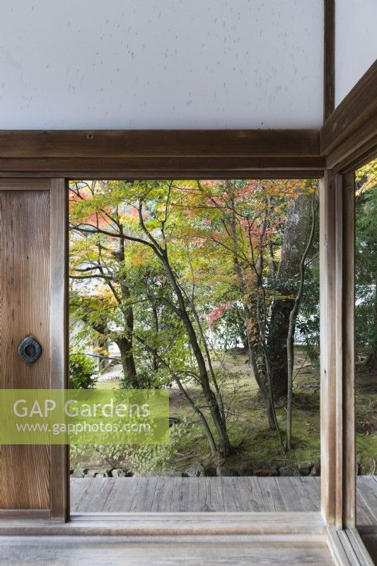 Vue sur le jardin paysager à travers le cadre du bâtiment du temple. Acers aux couleurs automnales. 