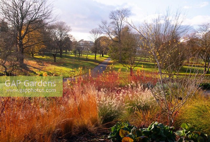 Une vue sur les plantations à flanc de colline dans le jardin d'hiver de Kew Gardens en automne 