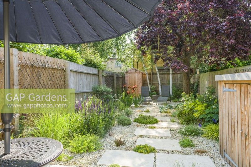 Petit jardin de ville contemporain en été avec tremplins. Grande variété de plantes à feuillage et à fleurs dont le bouleau, l'iris 'Natchez Trace', l'Hakonechloa macra 'Aureola', le miscanthus et la Salvia nemorosa 'Caradonna''. Juin 