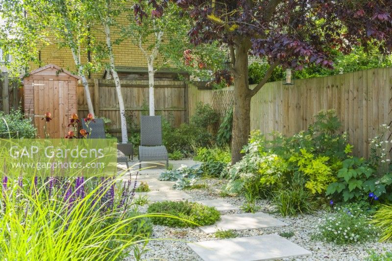 Petit jardin de ville contemporain en été avec tremplins. Grande variété de plantes à feuillage et à fleurs dont le bouleau, l'Iris 'Natchez Trace', l'Hakonechloa macra 'Aureola', le Lamprocapnos spectabilis 'Gold Heart', le miscanthus et la Salvia nemorosa 'Caradonna''. Juin 