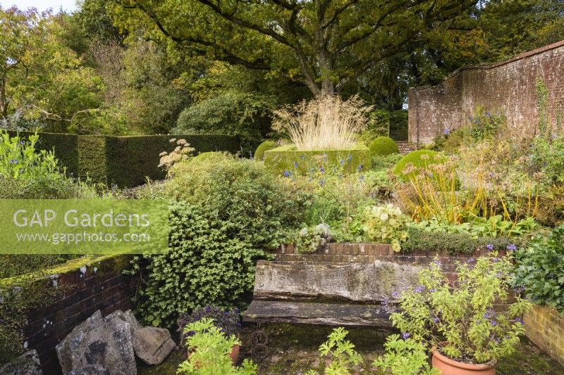 Petit jardin formel avec buis et ifs coupés, un banc rustique et un vieux chêne en toile de fond en octobre 