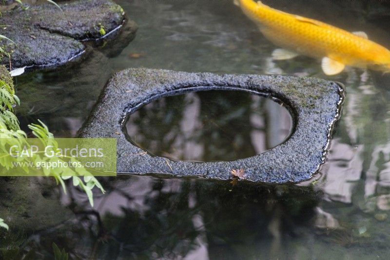 Piscine rectangulaire en pierre située dans un bassin plus grand. Carpe Koi dans l'eau. 