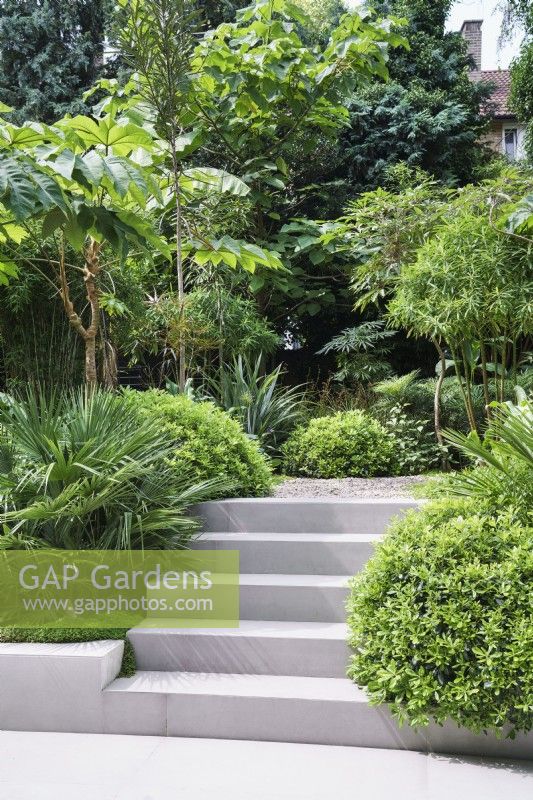 Étapes à travers une plantation verte luxuriante dans un jardin moderne 