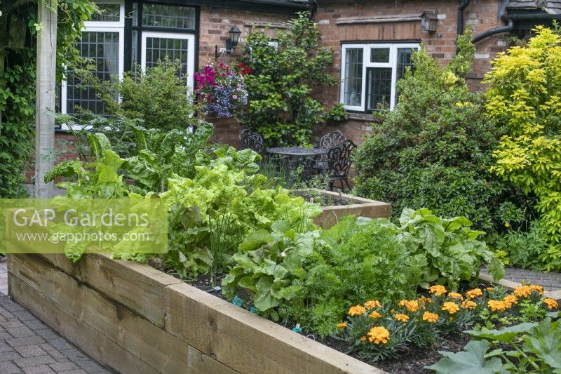 Bordures de légumes surélevées à North Cottage, Whittington - ouvertes à la charité, juin 