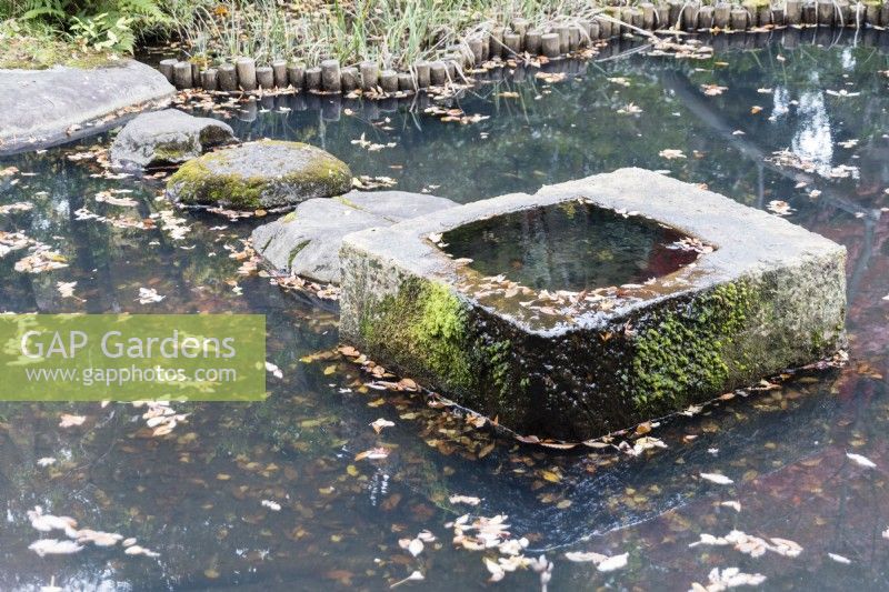 Tremplins dans étang avec petit bassin en dernière pierre. 