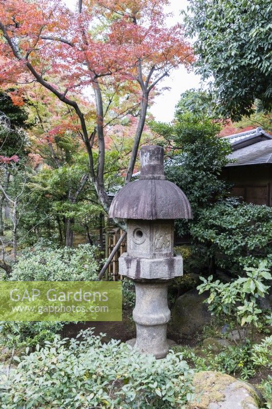 Lanterne en pierre ou Ishidoro entourée d'arbustes à feuilles persistantes et d'Acer aux couleurs d'automne. 