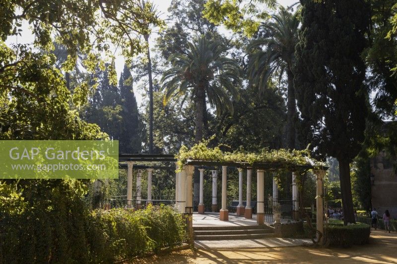 Une grande pergola circulaire, entourée d'arbres et de palmiers tropicaux, dans le Jardin del Retiro, jardin de retraite, dans les jardins du palais du Real Alcazar, à Séville. Espagne. Septembre. 