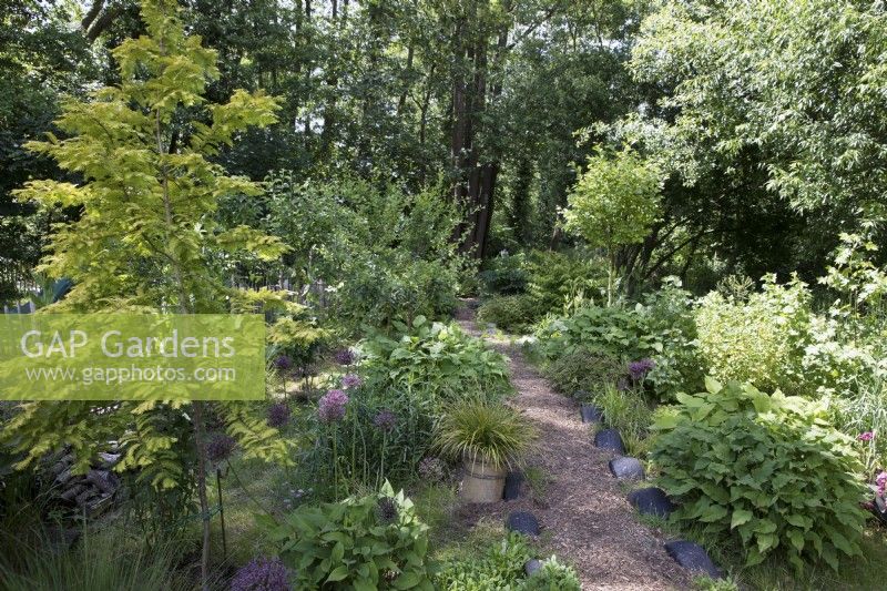 Jardin boisé avec sentier menant à la forêt d'aulnes noirs 