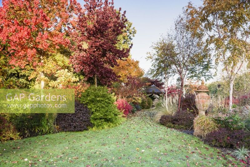Jardin d'automne coloré rempli d'arbustes et d'arbres, notamment des liquidambars, des bouleaux et de l'Acer rubrum 'October Glory''. 