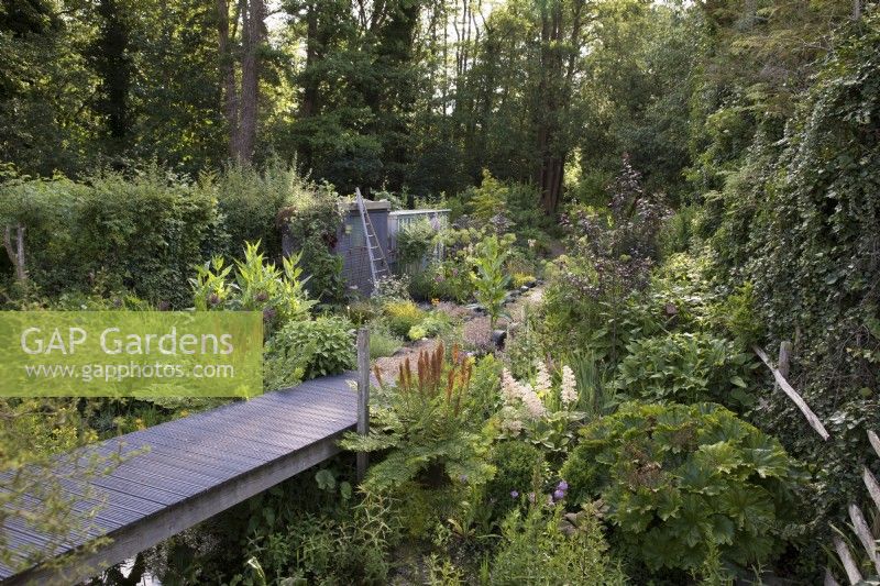 Jardin boisé avec passerelle au-dessus du ruisseau menant à la forêt d'aulnes noirs 