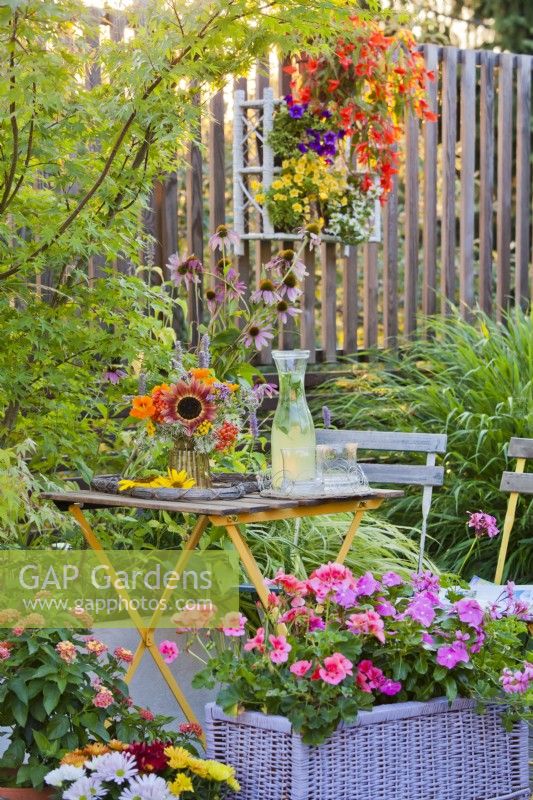 Plantations en pot sur la terrasse avec Impatiens et Pélargonium, composition florale avec une boisson fraîche sur la table. 