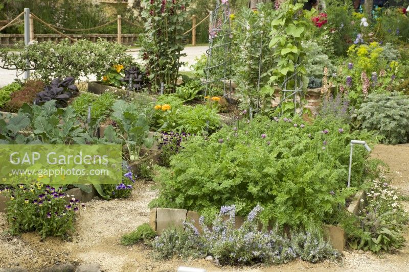 RHS Chelsea Flower Show 2023 - Parterres de fleurs d'herbes aromatiques - Le jardin Savills conçu par Mark Gregory - Argent doré 