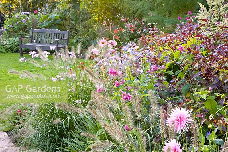 Lit de septembre avec plantes vivaces, dahlias et graminées 