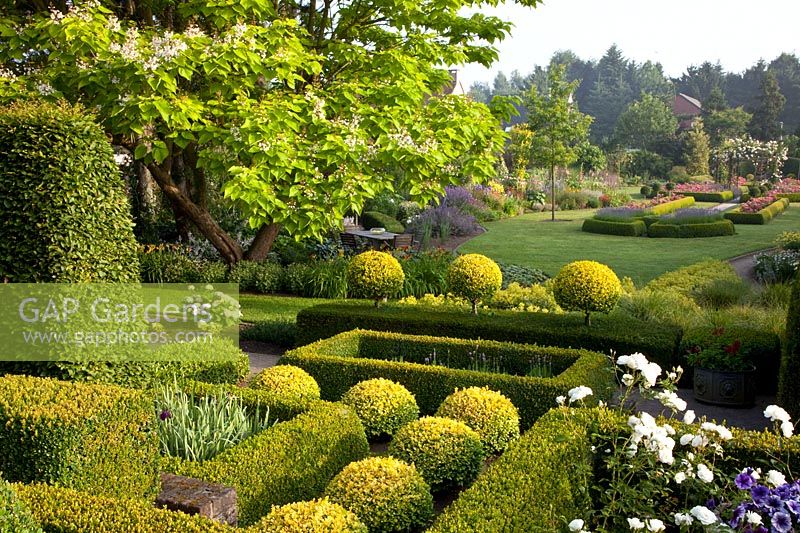 Grand jardin avec topiaire 