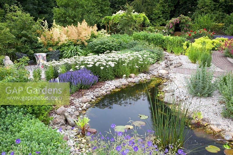 Aperçu du jardin avec plantes vivaces et étang 