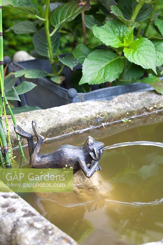 Mini étang avec grenouille en guise de gargouille 