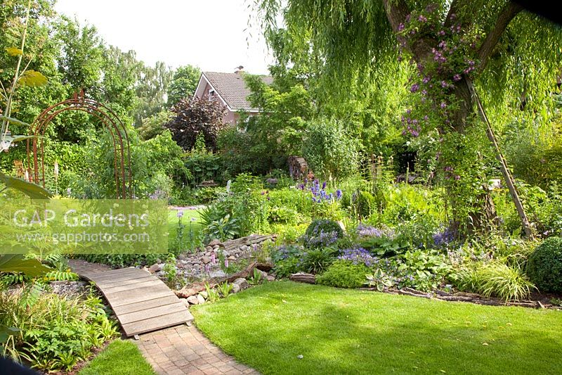 Jardin potager avec pelouse et pâturage avec rosier grimpant, Salix babylonica, rose violet bleu 