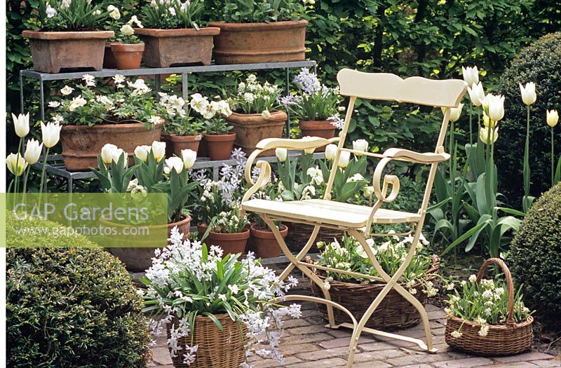 Jardin en pot blanc avec sièges 