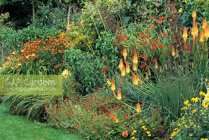 Parterre de fleurs chaudes 