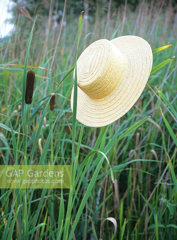 Nature morte au chapeau 