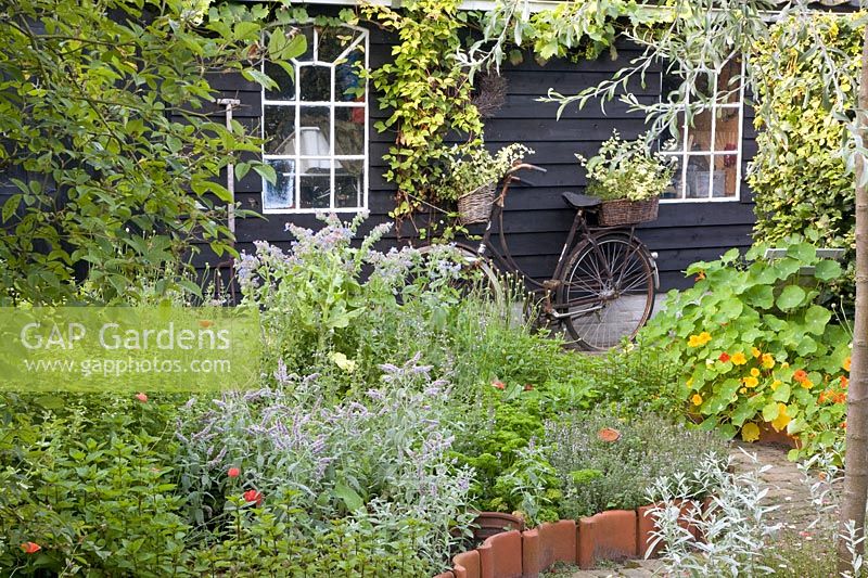 Vue du jardin d'herbes aromatiques 