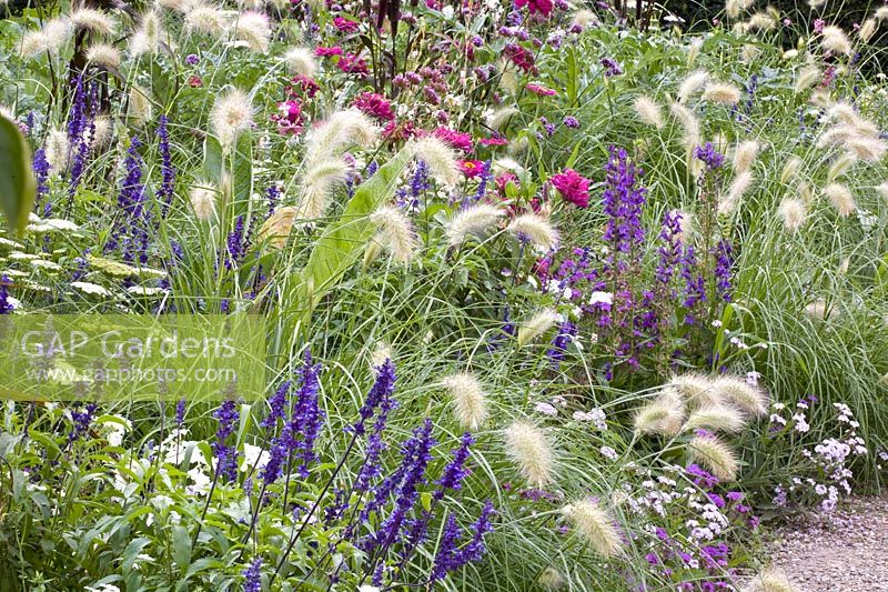 Lit d'herbe avec des annuelles 