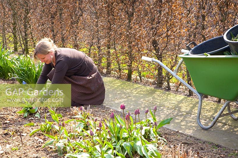 Femme jardinant au printemps 