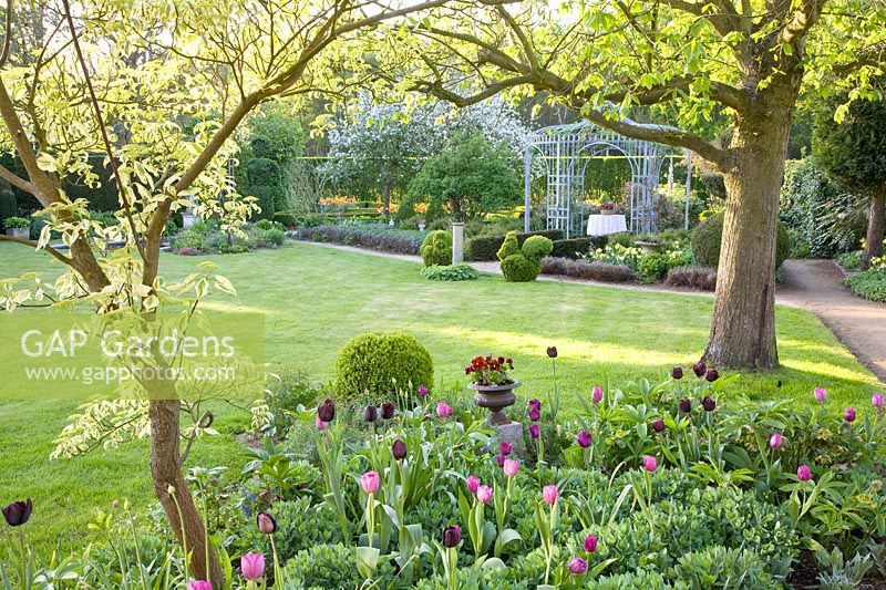 Jardin arboré, pavillon et tulipes 