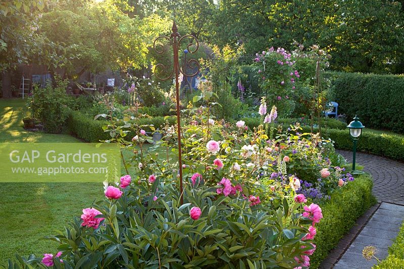 Jardin avec plantes vivaces 