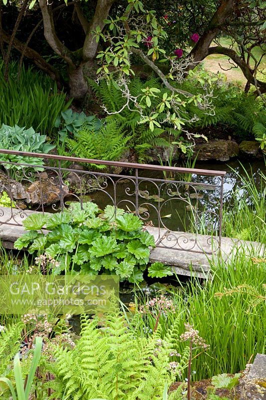 Ruisseau avec plantes vivaces et pont 