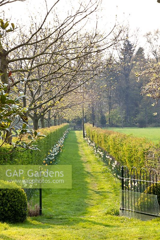 Ligne de mire dans le jardin 