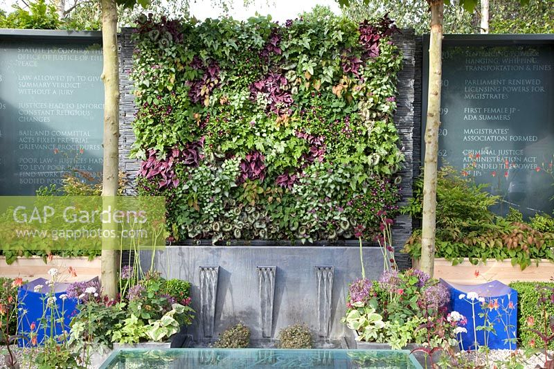 Petit jardin avec mur végétal vertical 