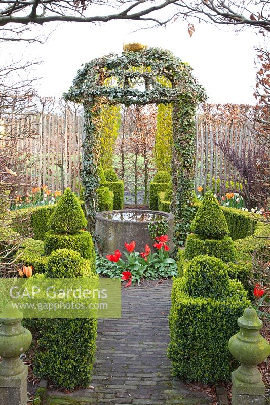 Salon de jardin formel avec fontaine et tonnelle de lierre, Tulipa Henry Hudson 