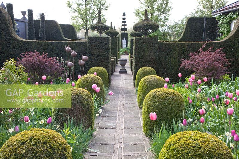 Jardin à la française avec tulipes et jonquilles, Tulipa Pink Impression, Tulipa Pink Diamond, Tulipa Rosalie, Tulipa Violet Beauty, Narcissus Bellsong 